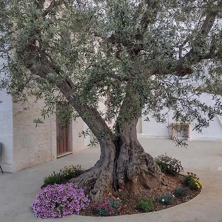 La Casa Di Pietra Location Rosy Country house