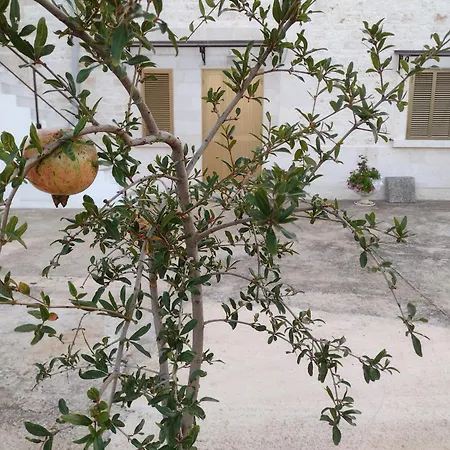 La Casa Di Pietra Location Rosy Monopoli