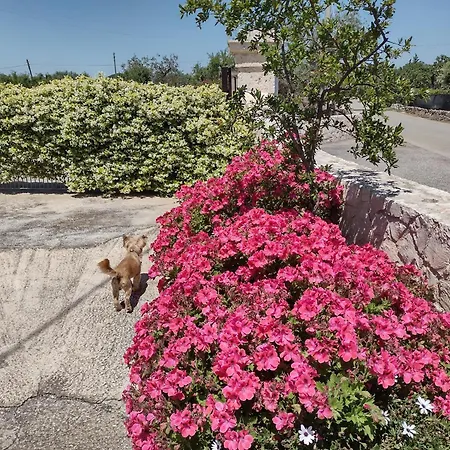 La Casa Di Pietra Location Rosy Monopoli